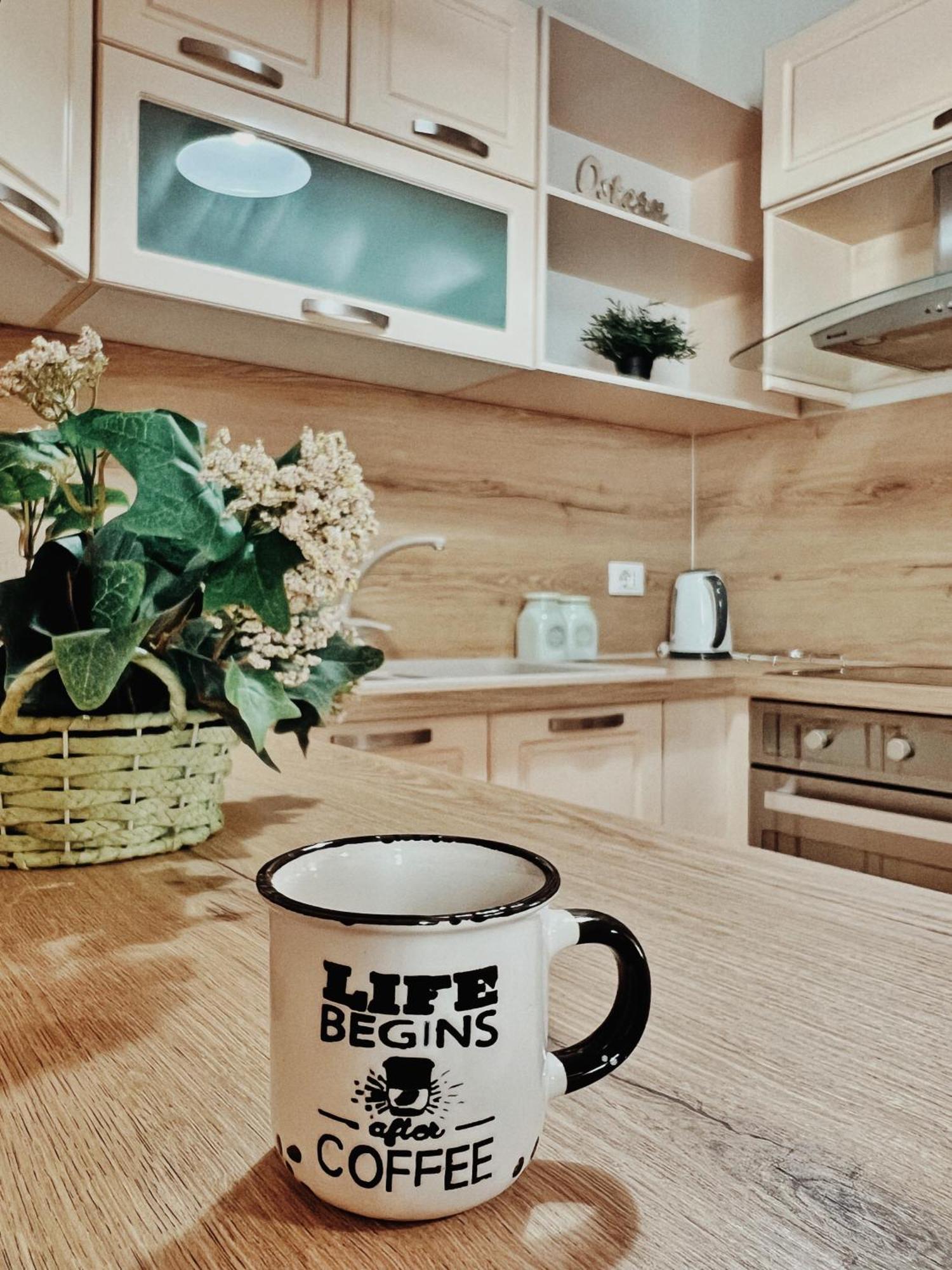 Cozy Rooftop Apartment - Your Home, Away From Home! Tirana Exteriör bild